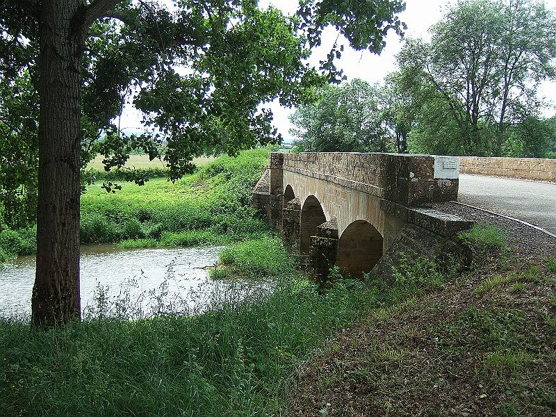 2010-05- (40).JPG - Brücke über die Guye kurz vor Cortevaix